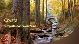  Presentation with autumn - Presentation with autumn-spruit-in-bohemia background and a tawny brown colored foreground