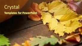  Presentation with natural ingredients - PPT theme with autumn-still-life-in-rustic background and a tawny brown colored foreground