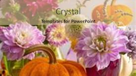  Presentation with white flowers - Presentation design with autumn-still-life-with-bouquet background and a lemonade colored foreground