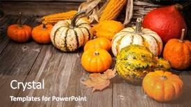 Presentation with autumn leaves - Theme featuring autumn still life with pumpkins background and a coral colored foreground