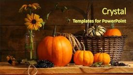  Presentation with harvest festival - Theme consisting of autumn still life with pumpkins background and a wine colored foreground