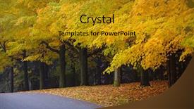  Presentation with fall foliage - PPT theme consisting of autumn street with fall maple background and a gold colored foreground