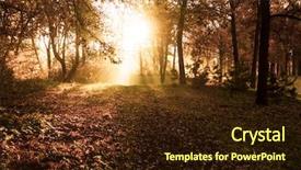  Presentation with sunny fall - Audience pleasing theme consisting of autumn sunny forest nature colorful backdrop and a wine colored foreground