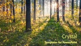  Presentation with woods - Slide deck featuring autumn-sunset-in-the-woods background and a tawny brown colored foreground
