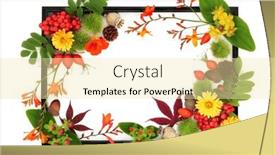  Presentation with nature design - PPT theme featuring autumn-thanksgiving-fall-background-design and a  colored foreground