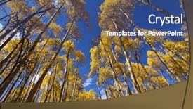  Presentation with tall - PPT theme having autumn time reaching for sky background and a ocean colored foreground