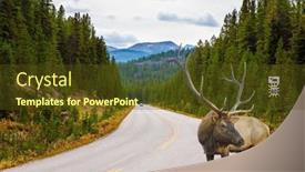  Presentation with rocky mountains - Audience pleasing PPT theme consisting of autumn-travel-to-canada-rocky backdrop and a tawny brown colored foreground