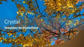  Presentation with autumn leaves falling - PPT theme with autumn-tree-in-morning-meadow background and a ocean colored foreground