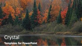  Presentation with tree - Theme enhanced with autumn-tree-reflections-in-mont background and a dark gray colored foreground