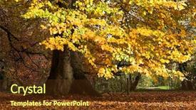  Presentation with low hanging fruit - Beautiful presentation design featuring autumn tree with low hanging backdrop and a  colored foreground