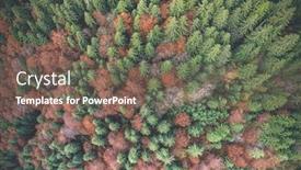  Presentation with drone - Theme enhanced with autumn-trees-between-evergreen-pines background and a violet colored foreground