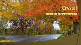  Presentation with rainy day - Presentation design with autumn trees in a rainy background and a tawny brown colored foreground