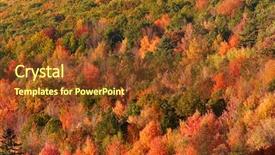  Presentation with trees - Slide deck featuring autumn trees in dense allegheny background and a  colored foreground