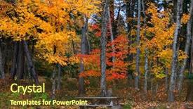  Presentation with trees - Audience pleasing slides consisting of autumn trees in mont tremblant backdrop and a  colored foreground
