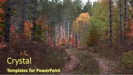  Presentation with apple trees are blooming pink - Presentation theme consisting of autumn-trees-in-pine-forest background and a tawny brown colored foreground