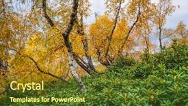  Presentation with trees forest lumber - PPT theme featuring autumn trees in the deciduous background and a tawny brown colored foreground