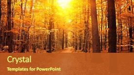  Presentation with trees forest lumber - Cool new PPT theme with autumn trees in the forest backdrop and a crimson colored foreground