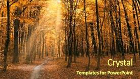  Presentation with trees forest lumber - PPT theme enhanced with autumn trees in the forest background and a tawny brown colored foreground
