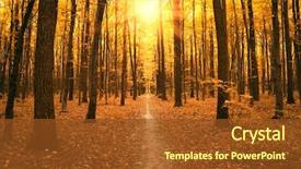  Presentation with autumn - Slides enhanced with autumn trees in the forest background and a tawny brown colored foreground