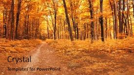  Presentation with trees forest lumber - Beautiful slide deck featuring autumn trees in the forest backdrop and a red colored foreground