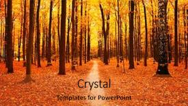  Presentation with trees forest lumber - Amazing PPT layouts having autumn trees in the forest backdrop and a gold colored foreground