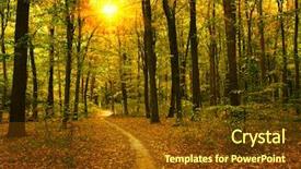  Presentation with trees - Audience pleasing PPT theme consisting of autumn trees in the forest backdrop and a  colored foreground