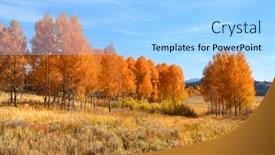  Presentation with yellowstone - Colorful presentation theme enhanced with autumn-trees-in-yellowstone-national backdrop and a light blue colored foreground