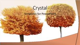  Presentation with black and white trees - Slides having autumn trees isolated on white background and a yellow colored foreground