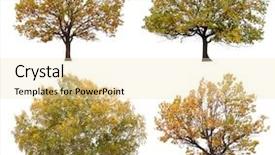  Presentation with black and white trees - Audience pleasing theme consisting of autumn trees isolated on white backdrop and a lemonade colored foreground