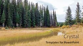  Presentation with spruce - Slide set enhanced with autumn-trip-to-the-west background and a yellow colored foreground
