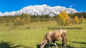 Presentation with autumn - Cool new slide set with autumn-view-of-dachstein-massif backdrop and a gold colored foreground
