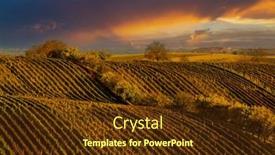  Presentation with czech republic - Slide set enhanced with autumn-vineyard-near-cejkovice-southern background and a tawny brown colored foreground