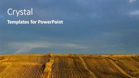  Presentation with vineyard - Presentation having autumn-vineyard-near-cejkovice-southern background and a ocean colored foreground