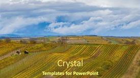  Presentation with vineyard - 