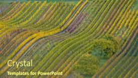  Presentation with vineyard - PPT layouts enhanced with autumn-vineyard-near-cejkovice-southern background and a tawny brown colored foreground