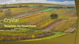  Presentation with vineyard - Presentation theme with autumn-vineyard-near-cejkovice-southern background and a tawny brown colored foreground