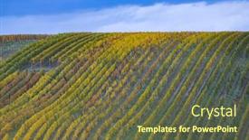  Presentation with vineyard - Slide set consisting of autumn-vineyard-near-cejkovice-southern background and a tawny brown colored foreground