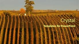  Presentation with czech republic - Slide set enhanced with autumn-vineyard-near-cejkovice-southern background and a tawny brown colored foreground