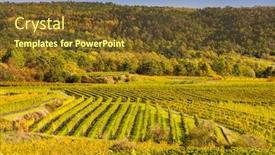  Presentation with vineyard - Audience pleasing slide set consisting of autumn-vineyard-near-langenlois-lower backdrop and a tawny brown colored foreground
