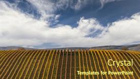  Presentation with vineyard - PPT theme featuring autumn-vineyard-near-velke-bilovice background and a tawny brown colored foreground