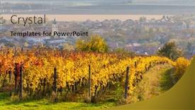  Presentation with vineyards - Amazing presentation having autumn-vineyards-in-blatnice-pod backdrop and a coral colored foreground