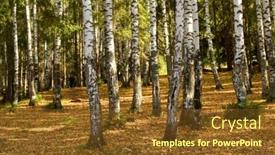  Presentation with autumn wood - PPT theme enhanced with autumn wood the fallen down foliage a landscape background and a tawny brown colored foreground