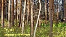  Presentation with autumn wood - Colorful PPT theme enhanced with autumn wood backdrop and a tawny brown colored foreground