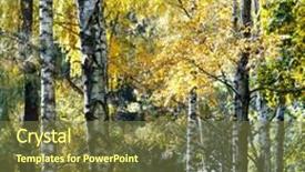  Presentation with autumn wood - Beautiful presentation design featuring autumn wood backdrop and a tawny brown colored foreground