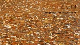  Presentation with fall leaves - Presentation theme featuring autumn-yellow-fallen-leaves and a  colored foreground