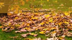  Presentation with green maple leaves - PPT theme enhanced with autumn yellow maple leaves by a tree trunk on green grass background and a gold colored foreground