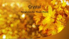  Presentation with autumn leaves - Slide set with autumn yellows leaves background header background and a gold colored foreground