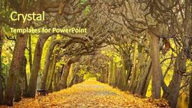  Presentation with poland - Amazing slides having water trees - autumnal alley in the park backdrop and a gold colored foreground