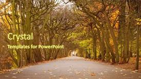  Presentation with poland - Amazing presentation theme having autumnal alley in the park backdrop and a tawny brown colored foreground