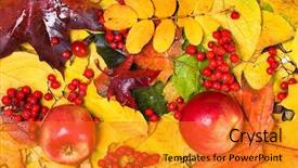  Presentation with fall leaves border autumn - Cool new presentation with autumnal fall leaves with apple backdrop and a gold colored foreground